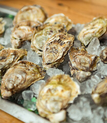 Raciones de ostras con limon de excelente calidad