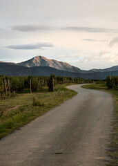 Foto scattata attorno alle colline Tassarolesi, in provincia di Alessandria.