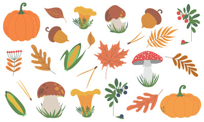 Set of vector beautiful symbols for autumn fall pumpkins, autumn falling leaves, chanterelle, porcini mushrooms, acorn, corn cob and cranberry. Hand drawn flat designs, icons. Hello autumn frame