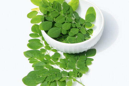 Moringa Leaves Resting in Ceramic Bowl for Natural Ingredient Display. Useful for food blogs and holistic health product advertisements.