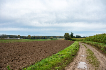 Obraz premium Dirty roads through plowed land at the Flemish countryside in Boutersem, Flanders, Belgium