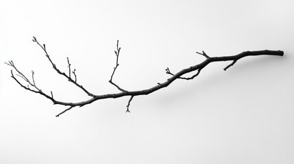 A thin branch with no leaves is hanging from a wall