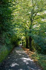Der Fahrradweg zwischen K&ouml;ln und Bonn auf H&ouml;he Porz