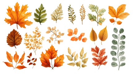 Watercolor autumn leaves border, white background, clip art for stickers
