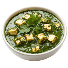 Delicious Indian Palak Paneer Dish with Cilantro