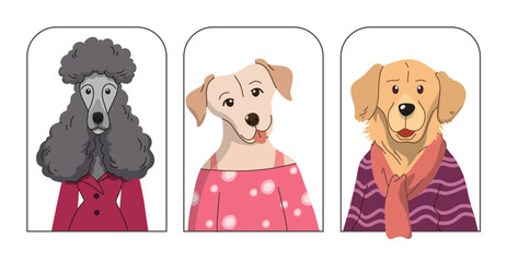 Set of cute dogs wearing clothes on white background, Cute and friendly pet in hand drawn style, with Golden retriever, Poodle, Labrador retriever. Vector design illustration.