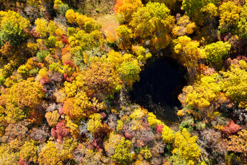 Aerial view of small lake in lush forest with colorful canopies in autumn woods on sunny day. Landscape of autumnal wild nature