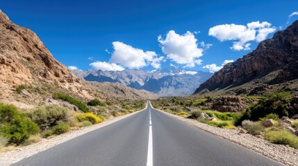 Fototapeta premium A solitary road stretches towards distant mountains under a vast blue sky, surrounded by wild flora, an embodiment of travel freedom and endless exploration possibilities.