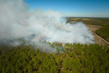 Aerial view of white smoke from forest fire rising up polluting atmosphere. Natural disaster concept