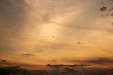 sunset in the sky