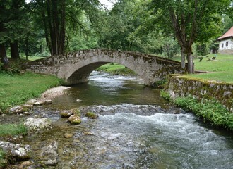 Fototapeta premium A charming stone bridge crossing a clear stream in a tranquil forested park setting