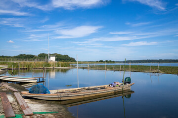 Obraz premium 湖畔の風景