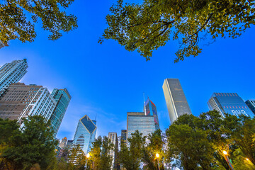 Obraz premium Chicago skyscrapers skyline evening view