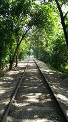 Obraz premium Serene railway lined with lush trees on a sunny day, inviting peaceful exploration