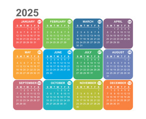 multi-colored light bright calendar for 2025 year of the snake