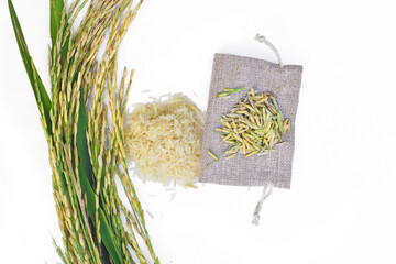 a close up of a green field of rice, a close up of a rice field, a field of green with tall grass, rice field in Pakistan with pink Dp wiith rice in bag