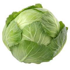 Fototapeta premium Fresh and Vibrant Cabbage Image Perfect for Culinary and Nutritional Contexts in Cookbook or Health-related Projects