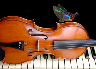 bright swallowtail butterfly, violin and piano. close up.