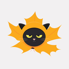 A whimsical black cat is angry wearing a hat in the shape of a yellow maple leaf. Vector