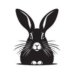Silhouette of a Rabbit in Shadow. White Background Illustration.