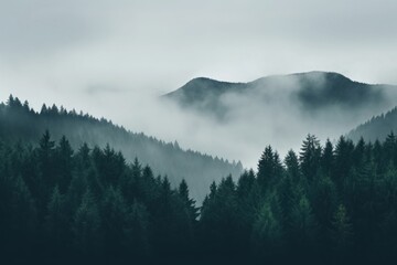 Foggy forest landscape nature mist mountains.