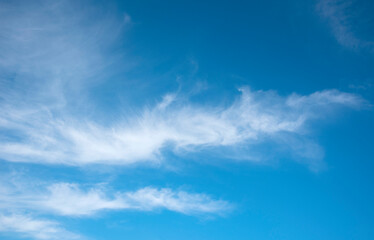 blue sky with lots of white clouds.Many white clouds are independent shapes.
