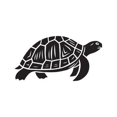 Turtle Shadow Silhouette. Simple White Background Design.