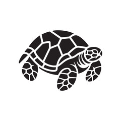 Silhouette of a Turtle - Shadow Illustration on White.