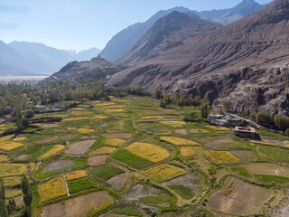 A scenic view of lush green agricultural fields nestled in a valley surrounded by mountains