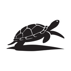 Turtle Silhouette Art - Shadow Design on White Canvas.