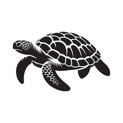 Turtle in Silhouette Shadow Illustration on a White Background.