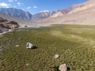 A serene high-altitude valley with a lush green meadow and rugged mountains under a clear blue sky.