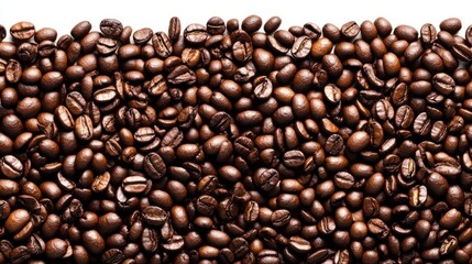 Fototapeta premium Close-up of roasted coffee beans arranged in a horizontal row against a white background.