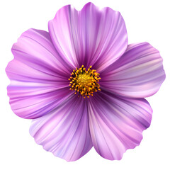 Obraz premium Cosmos Flower Image for Backgrounds, Illustrations, and Floral Designs that Enhance Your Projects