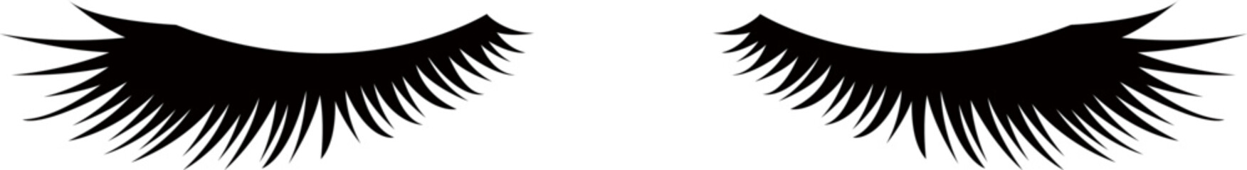 Elegant Eyelash Silhouette