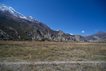 A serene mountain landscape with a clear blue sky