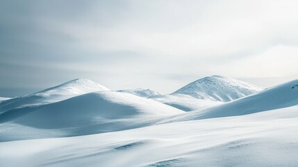 Serene Winter Landscape of Untouched Snowdrifts