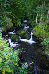 Obraz premium Scenic view of waterfall in Triberger Wasserfälle. Im Schwarzwald 
