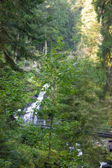 Fototapeta premium Scenic view of waterfall in Triberger Wasserfälle. Im Schwarzwald 