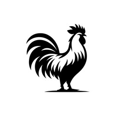 rooster illustration