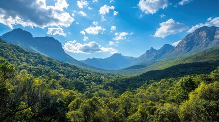 Enchanting Forested Mountain Range