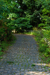 A cobblestone path surrounded by lush green trees and bushes, with sunlight filtering through the leaves. The pathway curves to the left and is bordered by a metal fence.
