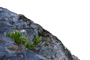 Resilience in the Rock: A solitary patch of vibrant greenery clings tenaciously to the rugged, gray rock face, symbolizing strength and life's tenacious spirit.  