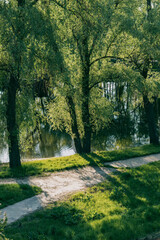 A serene park scene with green willow trees casting shadows on a sunlit earthy path by a calm lake. Reflections dance on the water's surface under the soft evening light.

