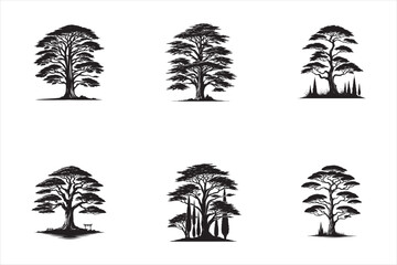 Cypress Tree Silhouette Vector illustration bundle Set collection, - nature tree logo or icon type