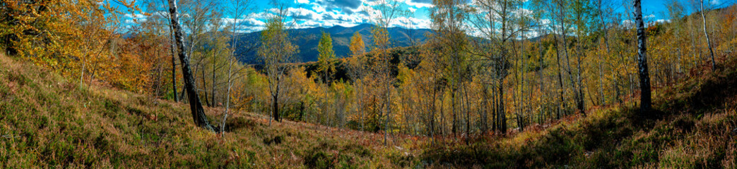 Panoramic nature landscape, soft pastel colors, dream nature, sunset autumn background, peaceful amazing nature panorama