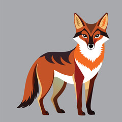 Obraz premium coyote animal best vector design ai eps file download
