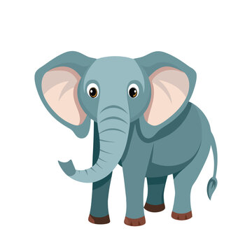 elephant animal chy color best vector design ai eps file download