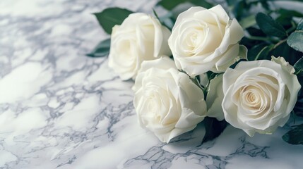 Obraz premium White Roses on Marble Background
