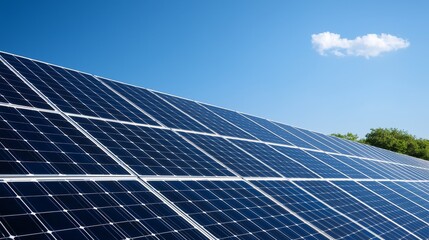 Solar panels absorbing sunlight on a clear day with blue sky.